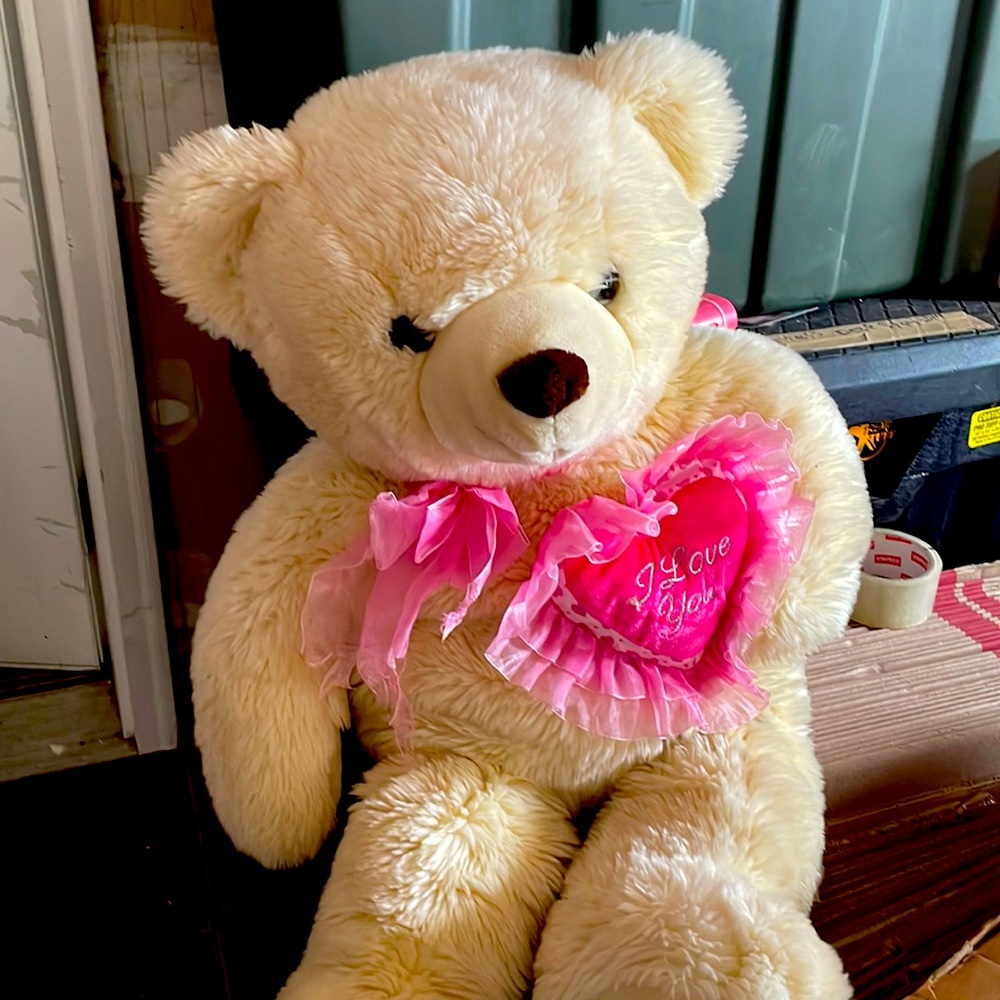 Bear